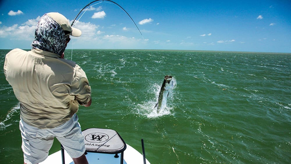 20180514-tarpon-fishing-1000